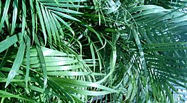 Timeline: King Arthur's Life