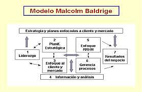 Modelo "Malcolm Bridge"