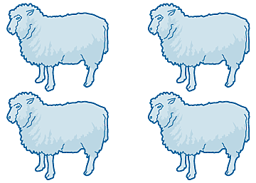 Clonacion oveja Dolly