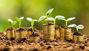 Economía Sinérgica