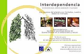 INTERDEPENDENCIA ENTRE LAS PERSONAS Y EL MEDIO AMBIENTE