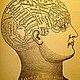 220px phrenology1