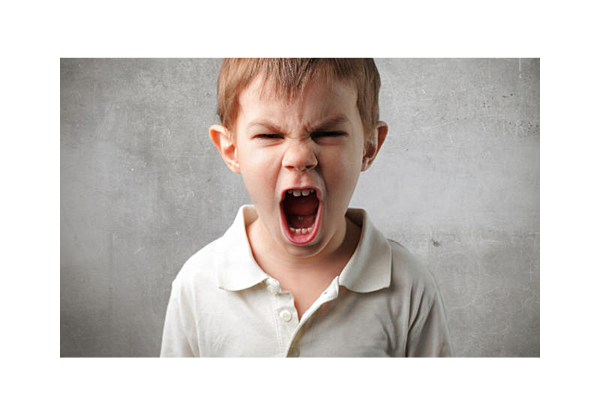 SEGUNDA INFANCIA Erikson