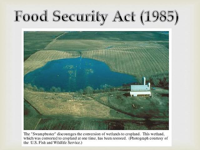 The Food Security Act of 1985