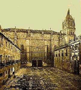 El papel de la universidad