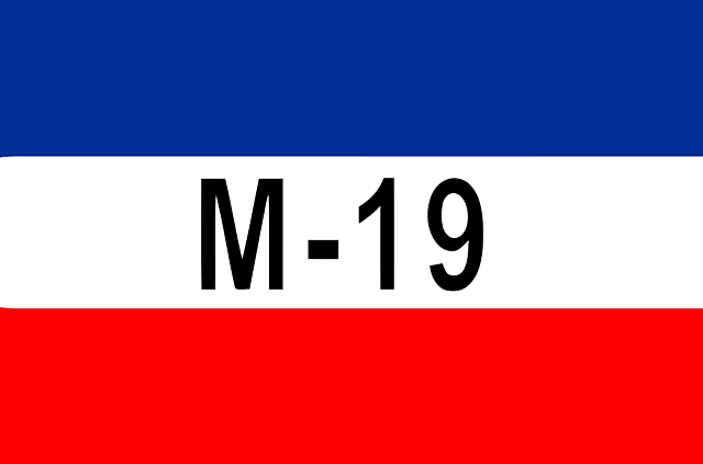 M19