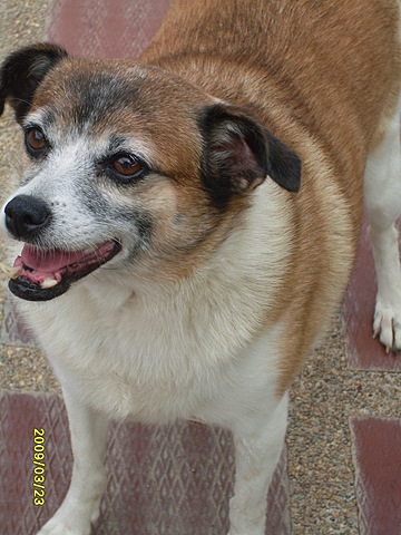 LA MUERTE DE PRINCESA