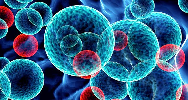 DOS NUEVAS TERAPIAS APROBADAS PARA LEUCEMIA MIELOIDE AGUDA (LMA)