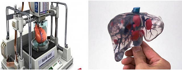 IMPRESIÓN DE ÓRGANOS EN 3D