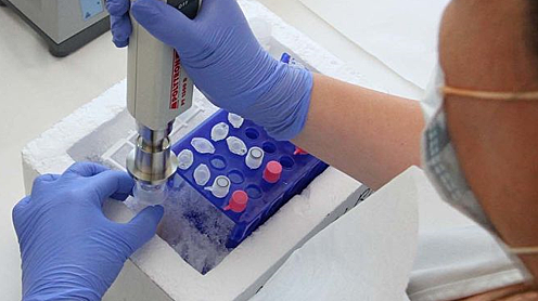 DIAGNÓSTICOS EN TIEMPO REAL