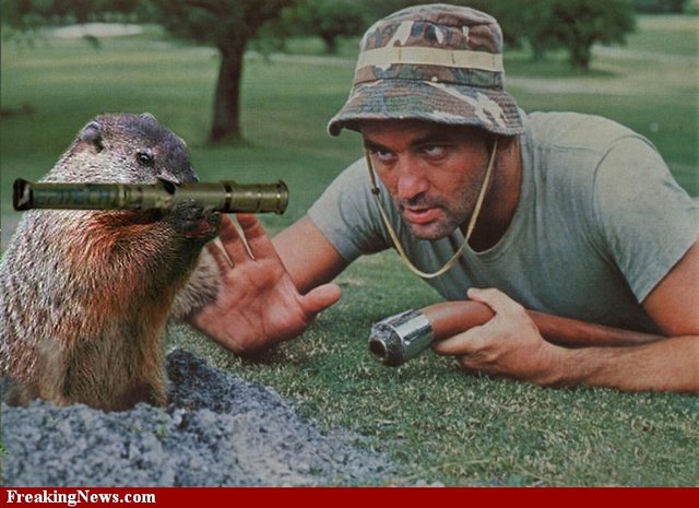 Austria-Hugary Surrendered