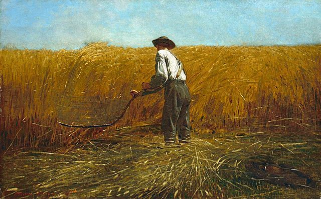 The Veteran in a Field