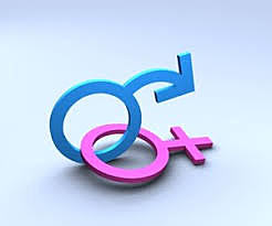 Modelo profesional (LOPÉZ)