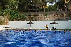 paseo de grado quinto