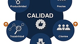 Timeline: Historia de la Calidad