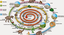 Timeline: ERAS GEOLOGICAS