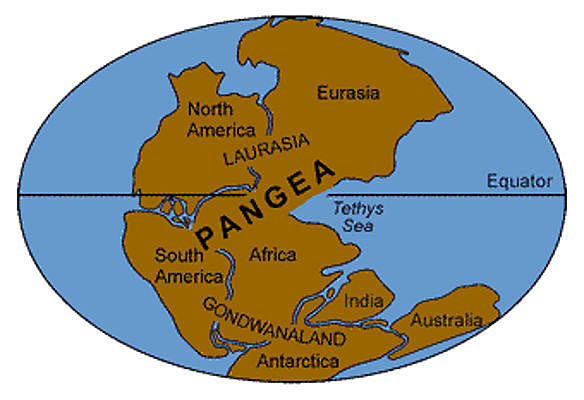 Pangea 2
