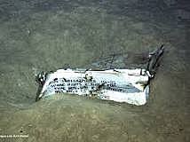 USS Indianapolis is sunk by Japanese Submarine