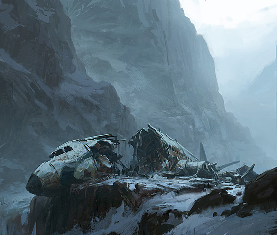 Plane Crash Survivor