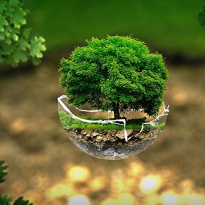 Timeline: Problemática Ambiental