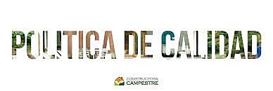 Superación de las expectativas.