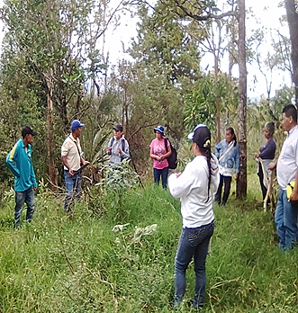 Trabajo en campo “Vivero Multipropósito Las Huacas”