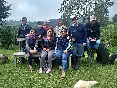 Actividades de levantamiento de información