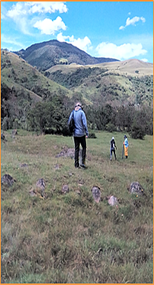 Actividades de levantamiento de información