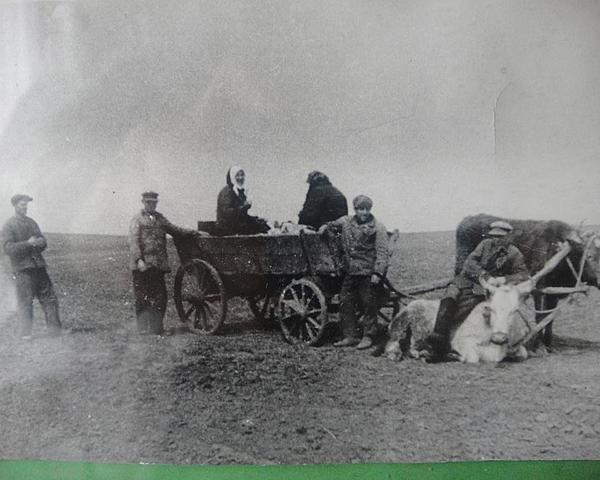 Образование колхозов