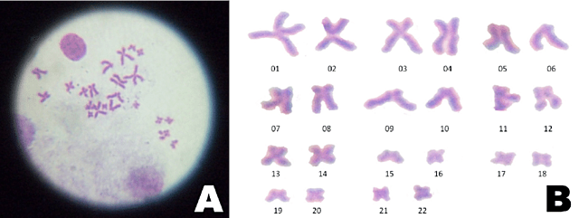 competitividad en mi campo de trabajo