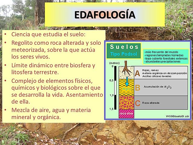 RESUMENES SUELO EDAFOLOGIA