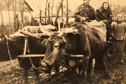 Первая сельскохозяйственная артель «Серп и Молот»