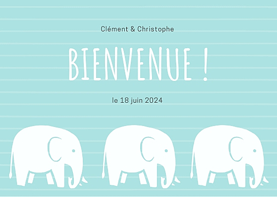 Naissance des jumeaux