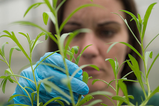 Agriculture Act of 2014