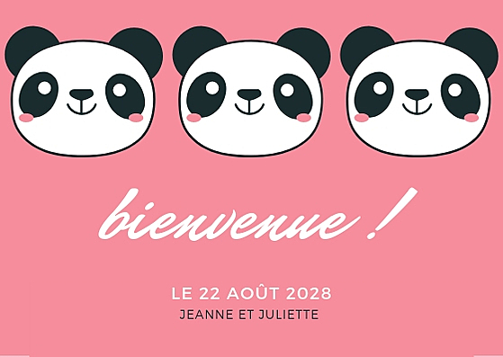 Naissance des jumelles