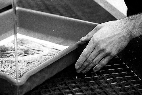 Silver Gelatin Process