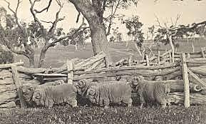 The Agricultural Act of 1954