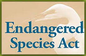 EPA, Endangered Species Act