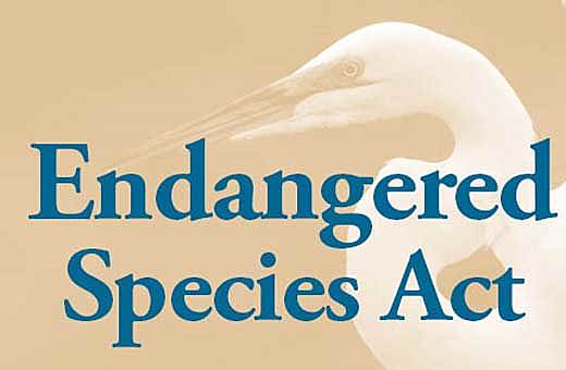 EPA, Endangered Species Act