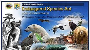 EPA, Endangered Species Act)