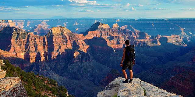 Traumatic Family Trip