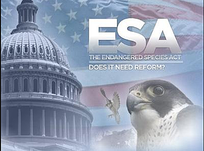 Endangered Species Act