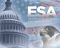 Endangered Species Act
