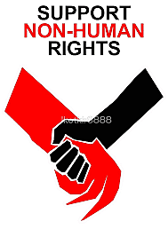 Support for Human Rights