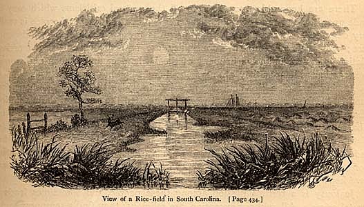 South Carolina was founded (1663).