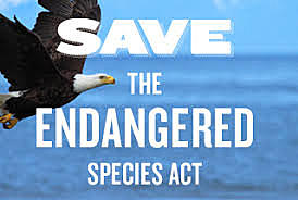 Endangered Species Act