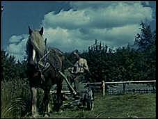 1948 Agricultural Act