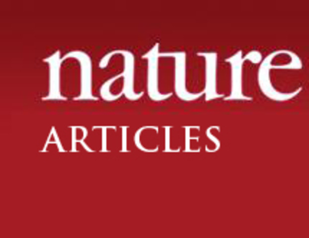 iPSC murino germline-competent  (Yamanaka)