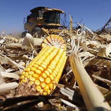 ACRE (Average Crop Revenue Election)