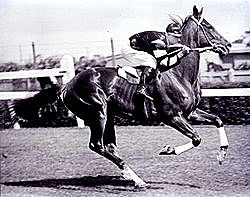 Phar Lap